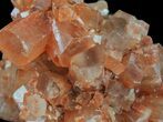 Aragonite Twinned Crystal Cluster - Morocco #59786-2